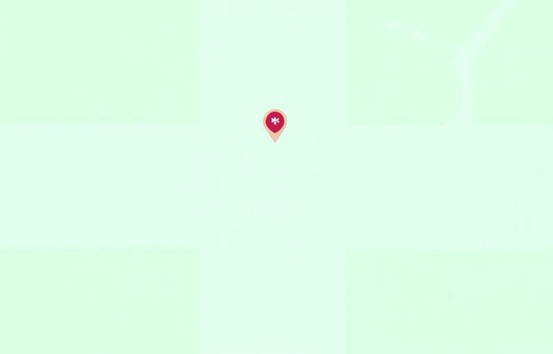 Illustration of a map showing the location of Swiss Career Catalyst office in Zurich.